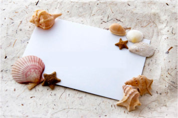 White card with shells and marine stars - sea animals 